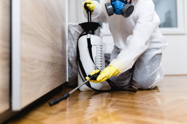 Best Commercial Pest Control Services  in Port Chester, NY