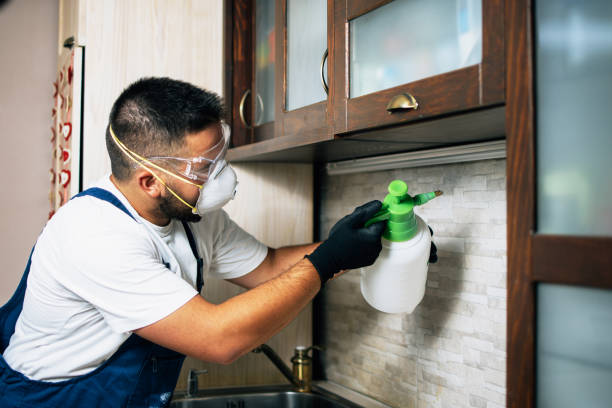 Best Affordable Pest Control Services  in Port Chester, NY