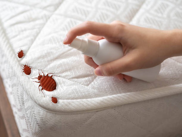 Best Pest Removal Services  in Port Chester, NY
