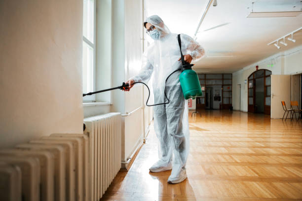 Best Emergency Pest Control  in Port Chester, NY