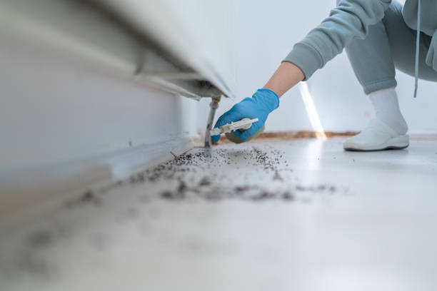 Best Pest Control Near Me in Port Chester, NY